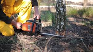Best Lawn Grading and Leveling  in Grayson, GA